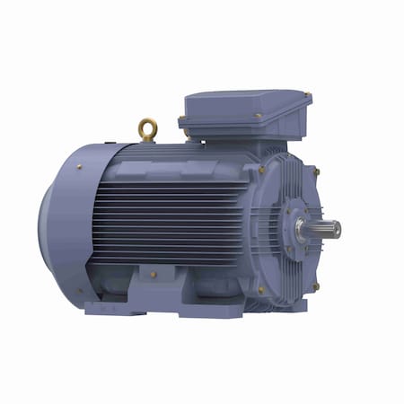 Marathon General Purpose Low Voltage IEC  Motor 75.0 kW, 3 phase, 1200 RPM, 230/460 V, 315S Frame R508A